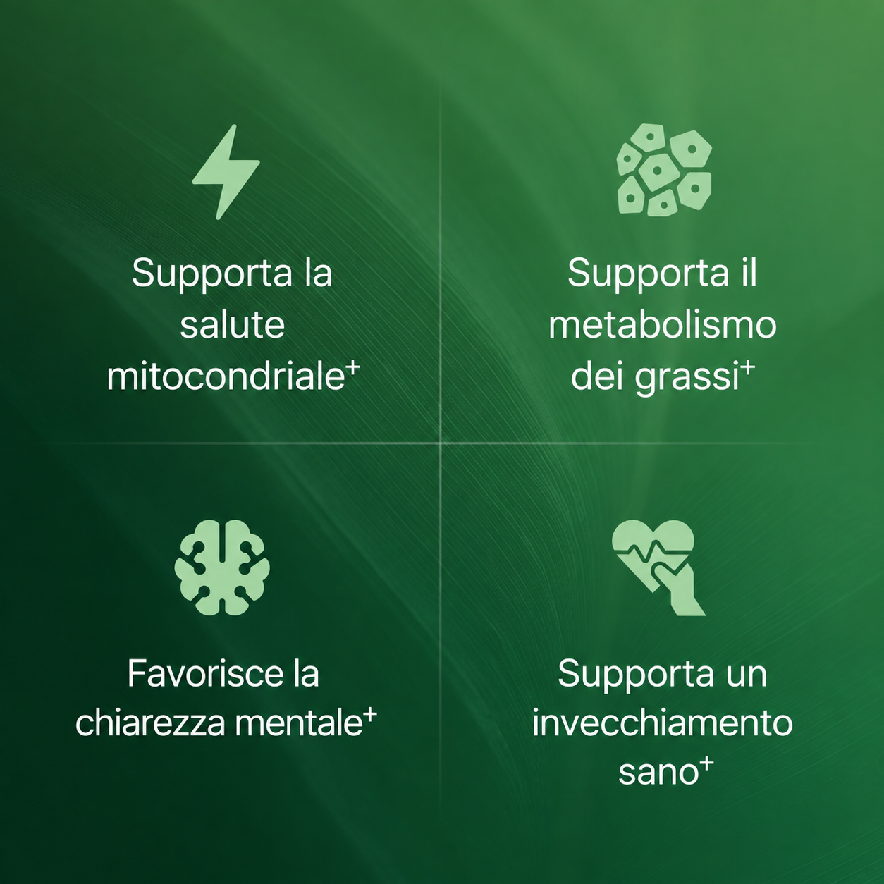 Estratto di Amla in Capsule