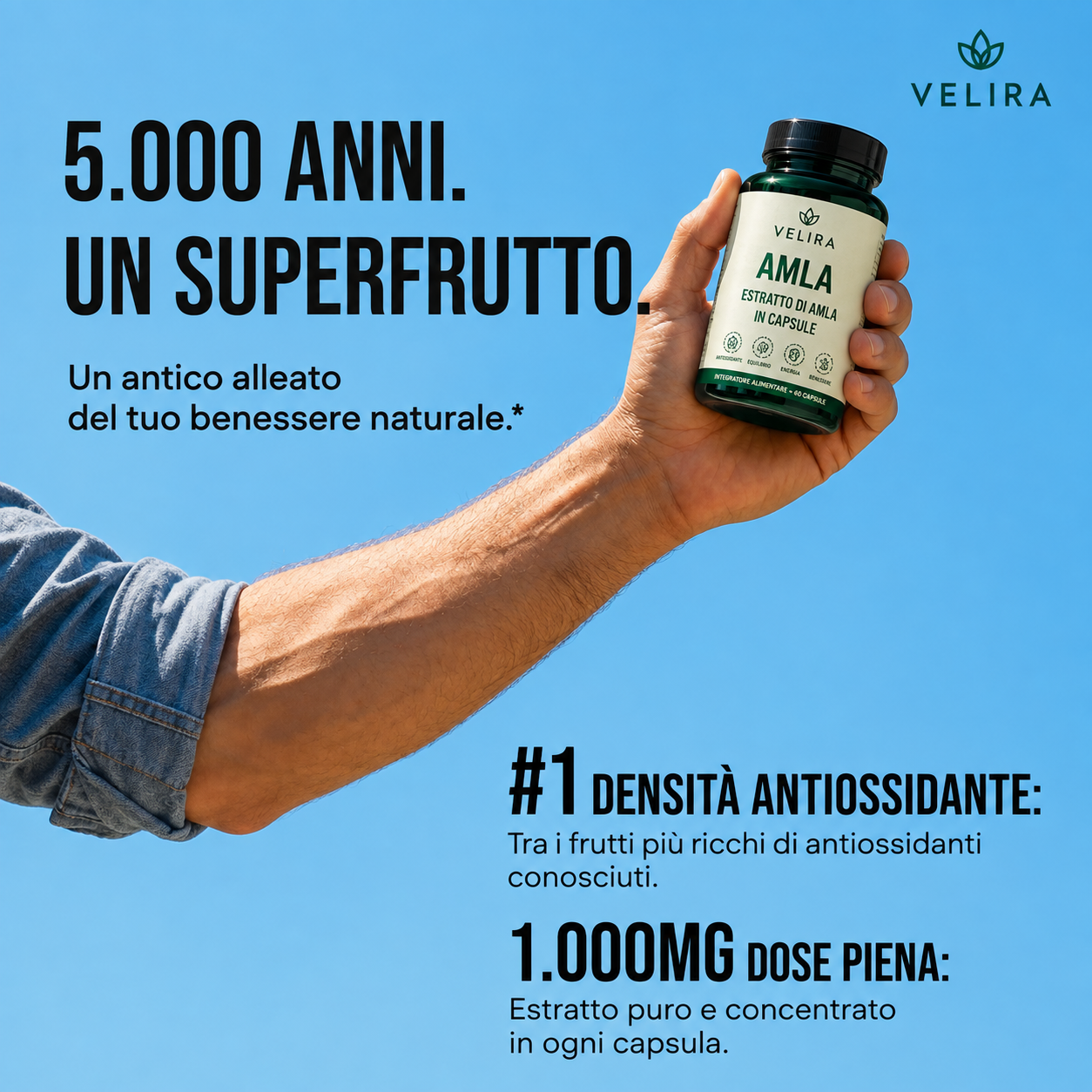 Estratto di Amla in Capsule